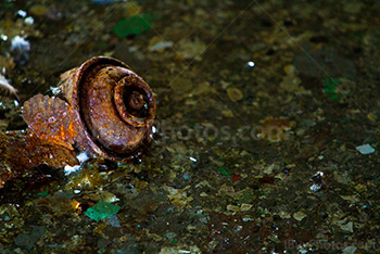 Rusty graffiti spray can on floor