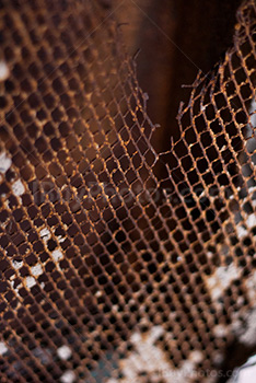 Rusty grid with hole