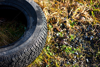 Tire close-up on grass with sunlight