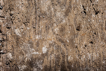 Wooden texture with splinters, dust and holes