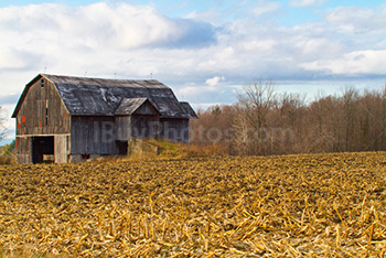 Barn in field with trees and clouds in sky