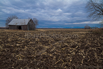 Grange abandonnée dans champ de boue sous ciel nuageux