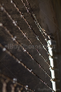 Grillage et fils barbelés sur clôture