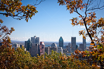 Skyline de Montréal vue du Mont Royal en Automne