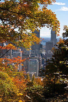 Centre ville de Montréal vu depuis le Mont Royal avec feuiles d'Automne