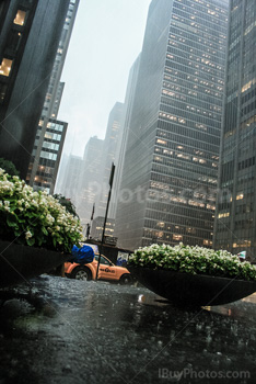 Photo: New York Rain 001