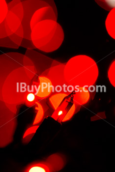 Photo: Lumière Noël 014