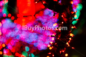 Photo: Lumière Noël 022