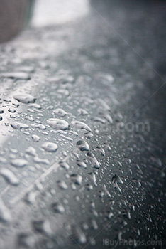 Photo: Goutte 010
