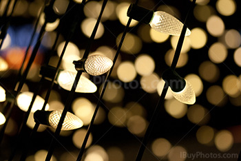 Photo: Guirlandes 001