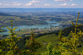 Photo: Gruyere Area 002