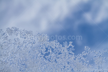 Photo: Ice 006