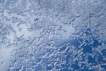 Photo: Ice 007