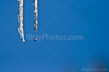 Photo: Goutte Gelée 001