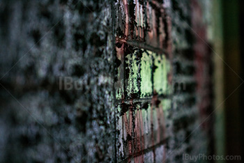 Photo: Peeling Wall 001