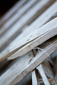 Photo: Plank 001