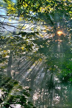 Photo: Lumière Du Soleil HDR 001
