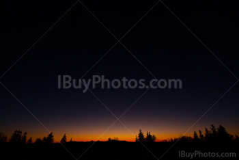 Photo: Arbre Coucher De Soleil 001