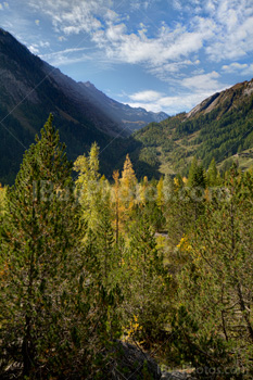 Photo: Montagnes Suisse 003