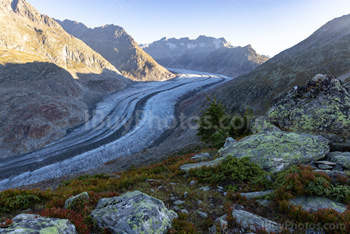 Photo: Aletsch Glacier 005