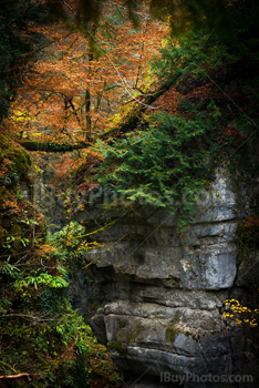 Photo: Gorges Areuse 004