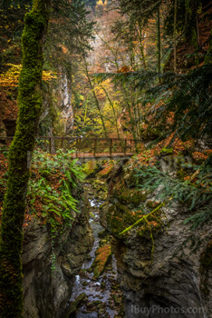 Photo: Gorges Areuse 005