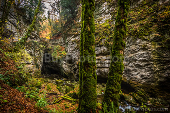 Photo: Gorges Areuse 007