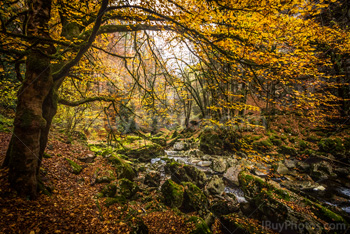 Photo: Gorges Areuse 008