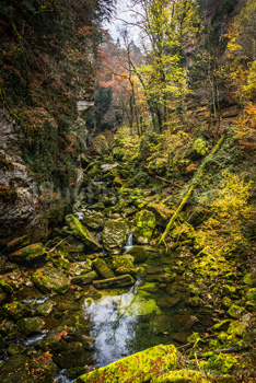 Photo: Gorges Areuse 011