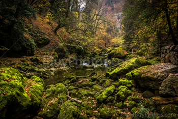 Photo: Gorges Areuse 012