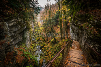 Photo: Gorges Areuse 013