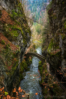 Photo: Gorges Areuse 014