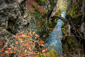 Photo: Gorges Areuse 015