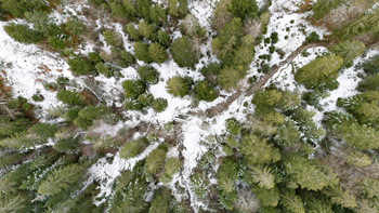 Photo: Drone Winter Forest 002