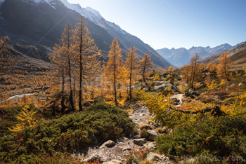 Photo: Suisse Lotschental 002