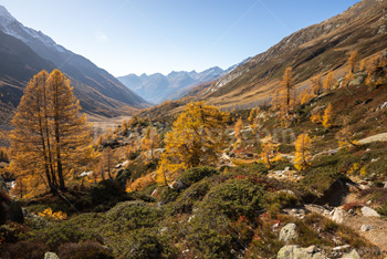 Photo: Suisse Lotschental 003