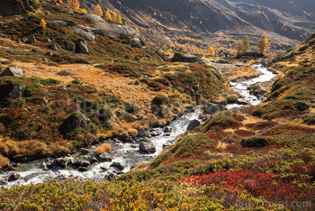 Photo: Suisse Lotschental 005