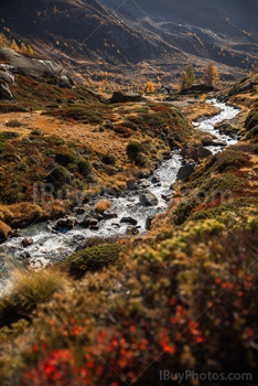 Photo: Suisse Lotschental 006