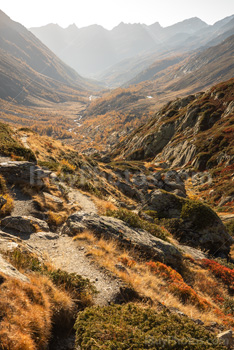 Photo: Suisse Lotschental 010