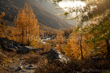 Photo: Suisse Lotschental 011