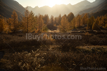 Photo: Suisse Lotschental 012