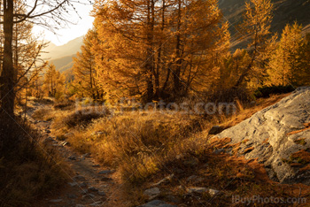 Photo: Suisse Lotschental 013