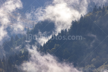 Photo: Mountains Mist 002